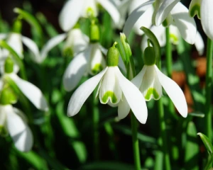 Погода здивує у перший день квітня